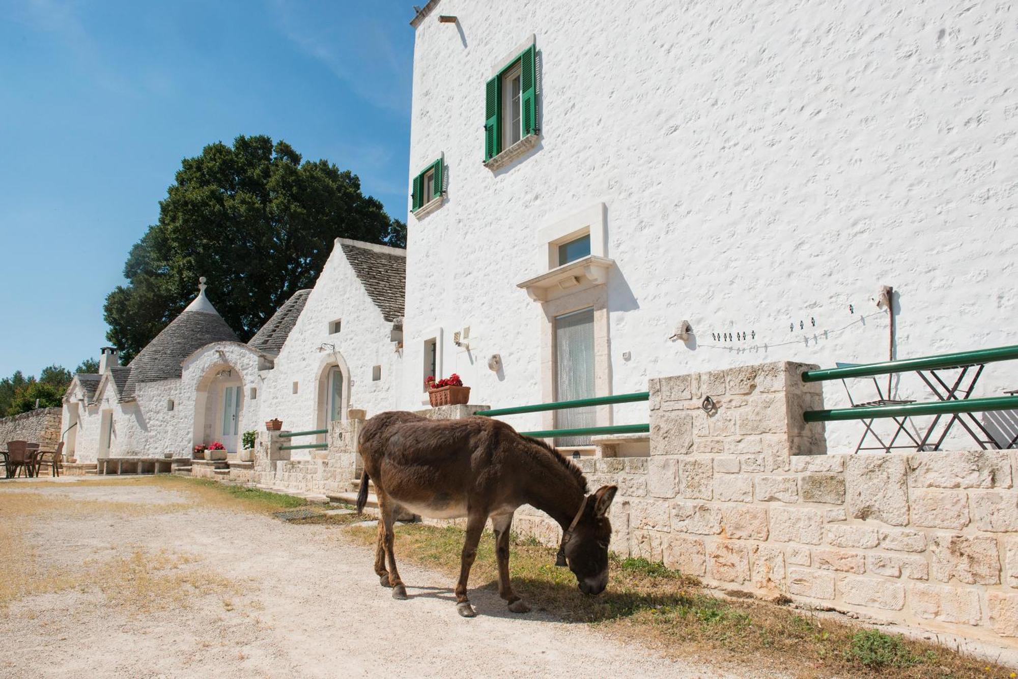Agriturismo Masseria Aprile Локоротондо Екстер'єр фото